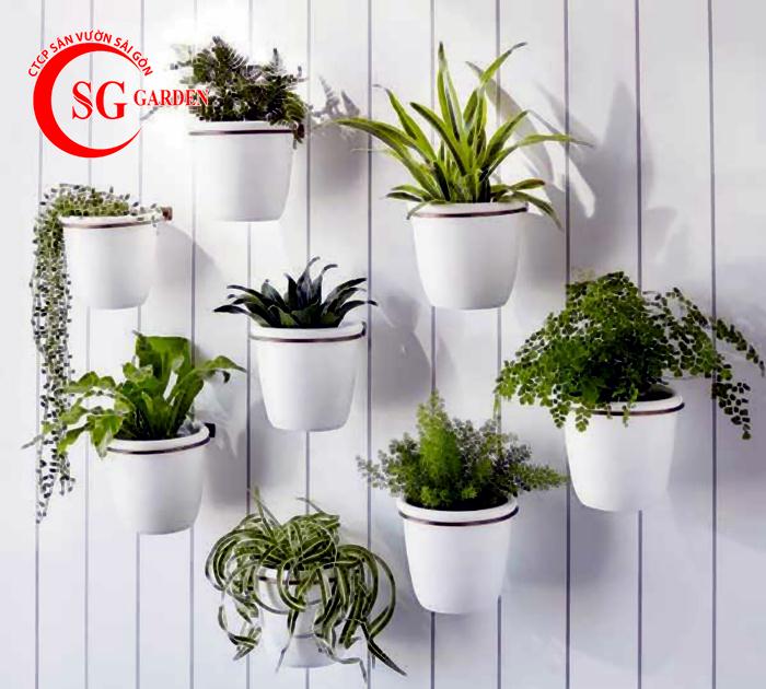 Trang trí cây xanh trên tường