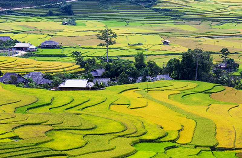 Tranh dán tường 3d phong cảnh thiên nhiên