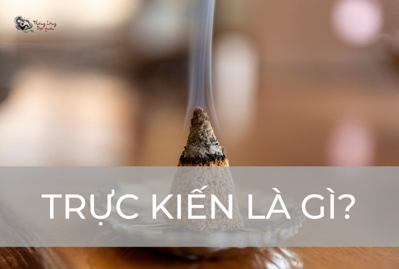 Trực kiến là gì