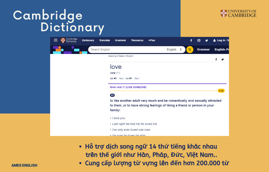 Từ điển cambridge anh việt