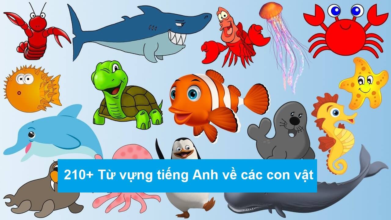 Từ vựng tiếng anh theo chủ đề con vật