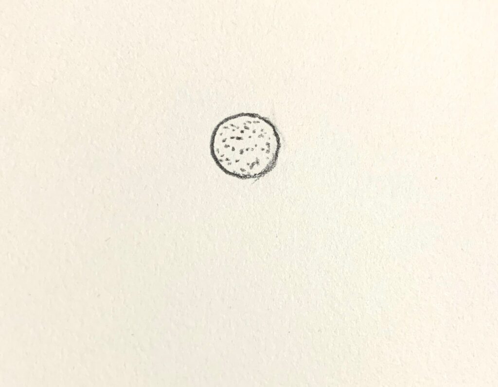 Vẽ hoa trang trí góc giấy a4