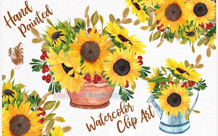 Vẽ tranh phong cảnh hoa hướng dương