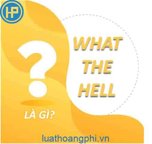 What the hell là gì