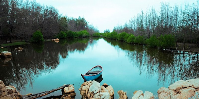 Xuyên mộc ở đâu