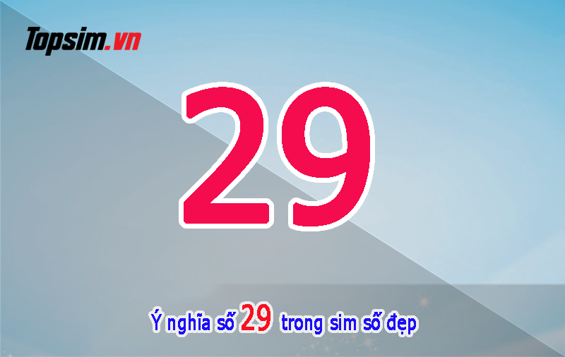 ý nghĩa số 29
